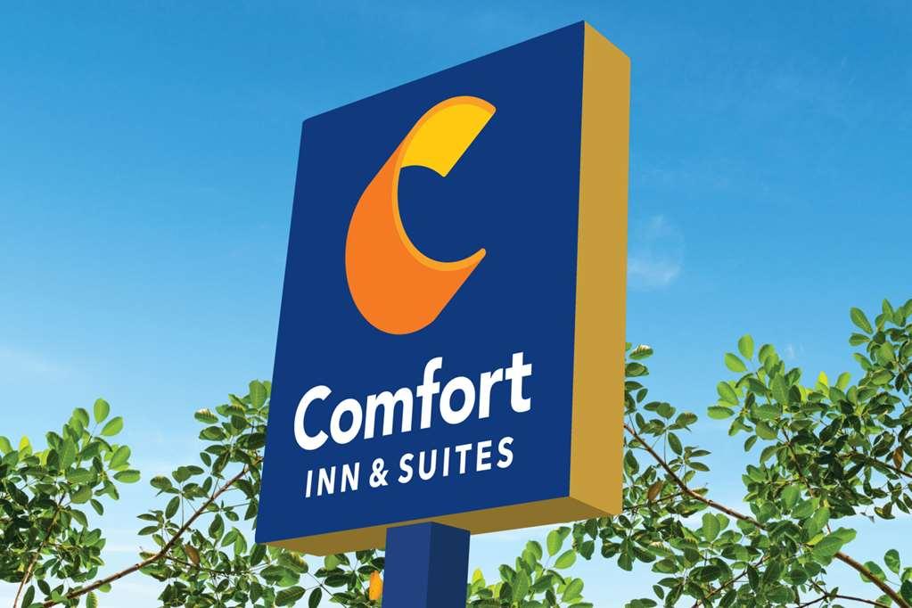 Comfort Inn & Suites High Point - Archdale Kültér fotó